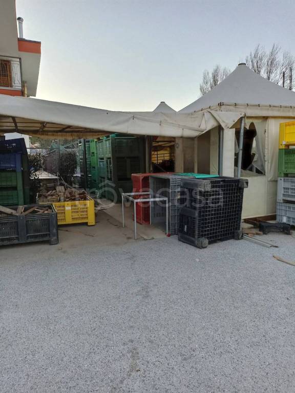 immagine annuncio 3 di 12