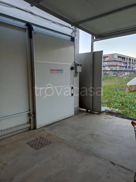 immagine annuncio 4 di 12