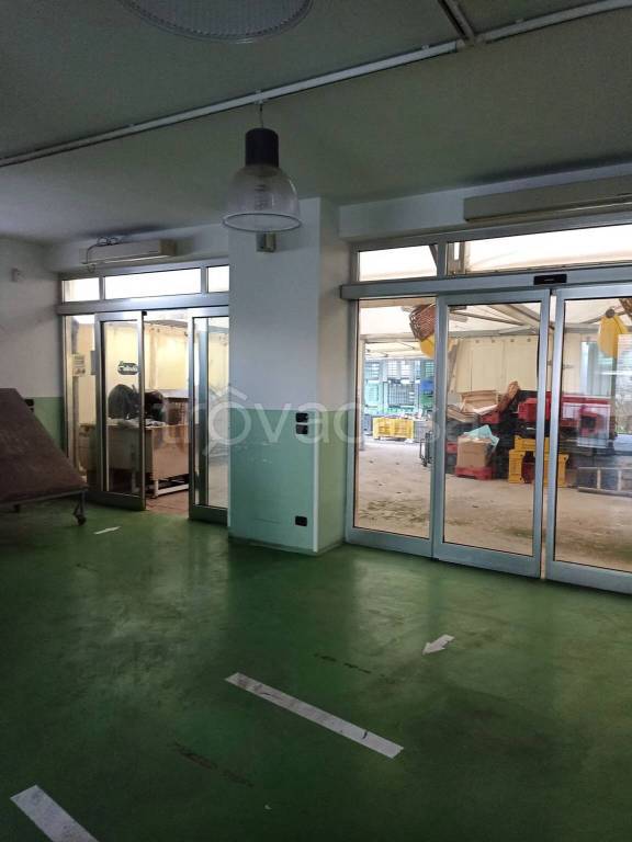 immagine annuncio 8 di 12