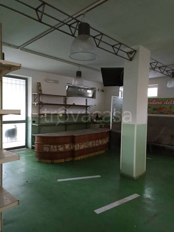 immagine annuncio 9 di 12