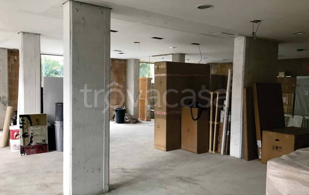 immagine annuncio 6 di 12