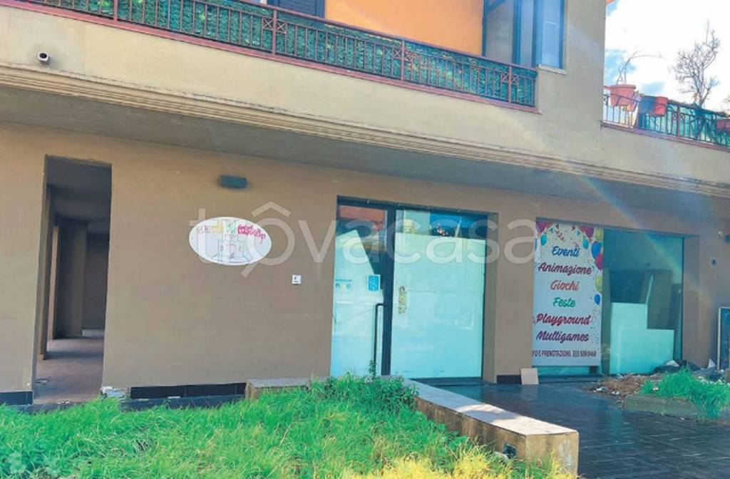 immagine annuncio 11 di 12