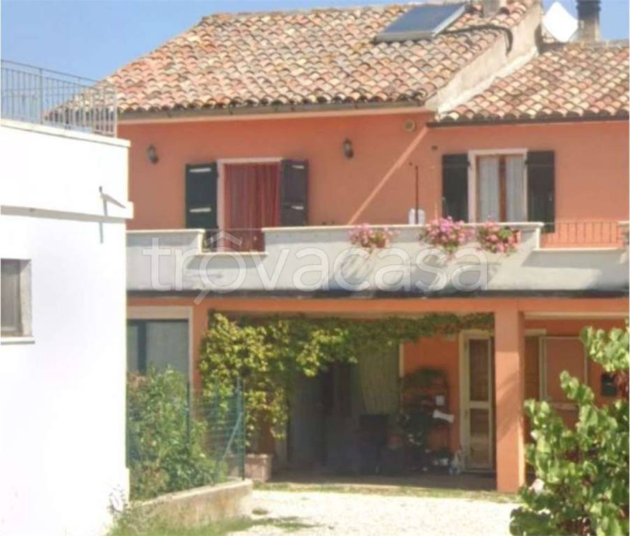 immagine annuncio 1 di 11