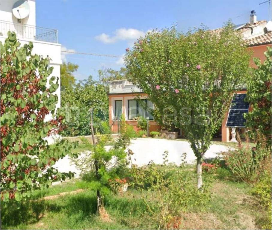 immagine annuncio 3 di 11