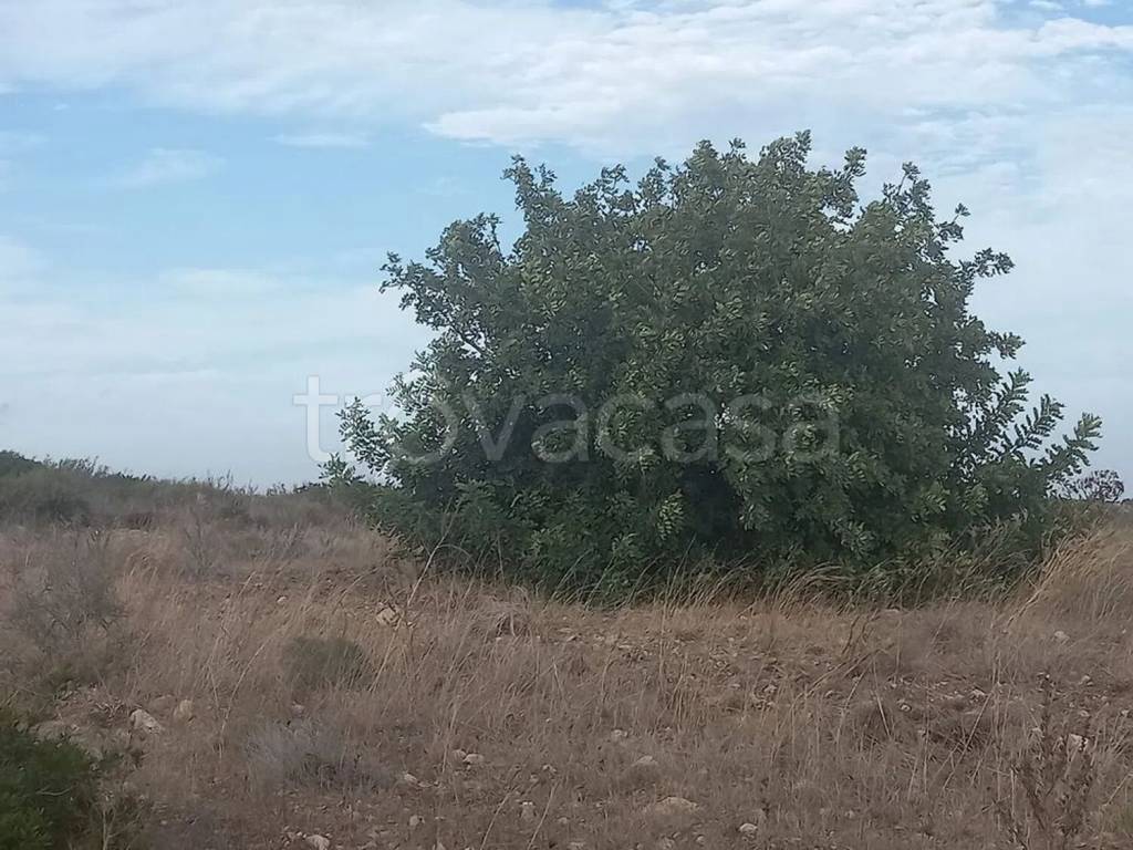 immagine annuncio 8 di 11