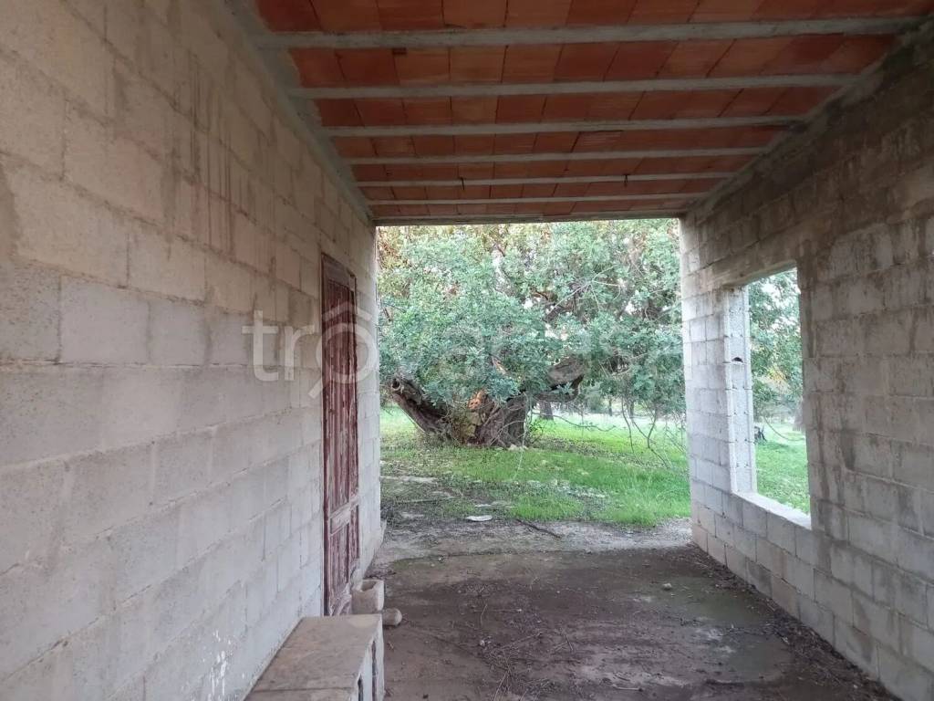 immagine annuncio 3 di 6