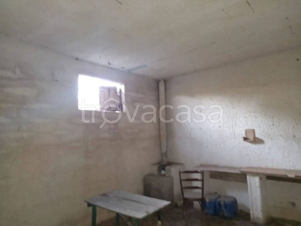 immagine annuncio 4 di 6