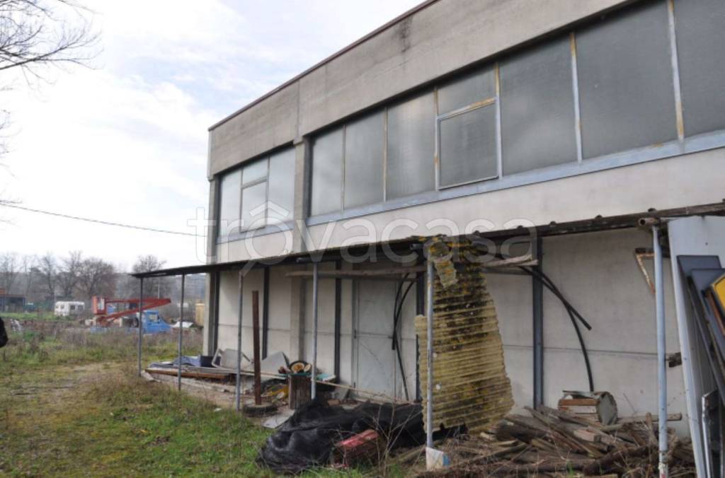 immagine annuncio 2 di 12