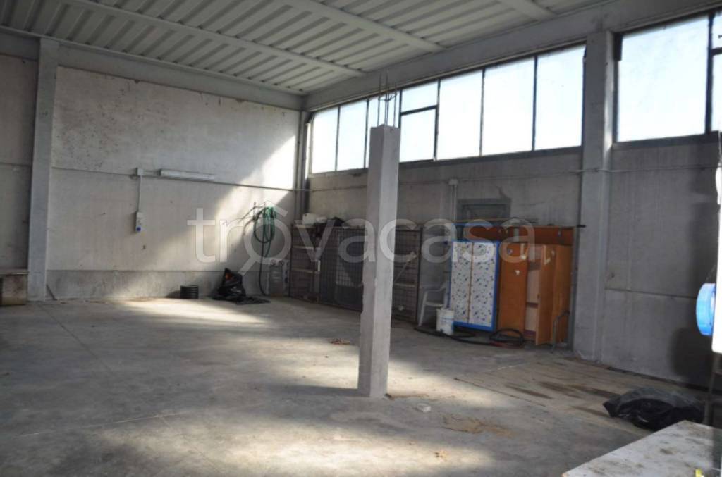 immagine annuncio 3 di 12