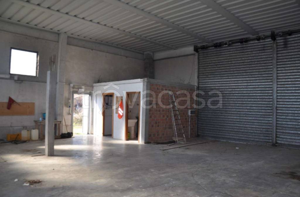 immagine annuncio 4 di 12