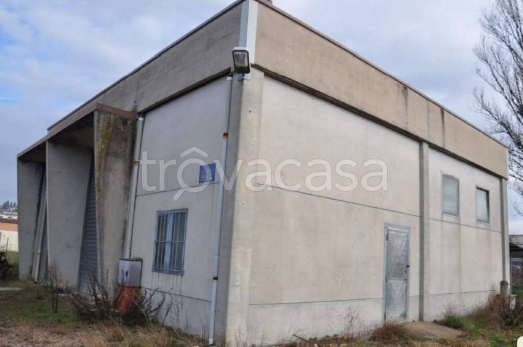 immagine annuncio 6 di 12