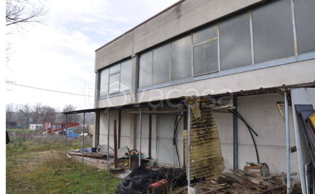 immagine annuncio 8 di 12