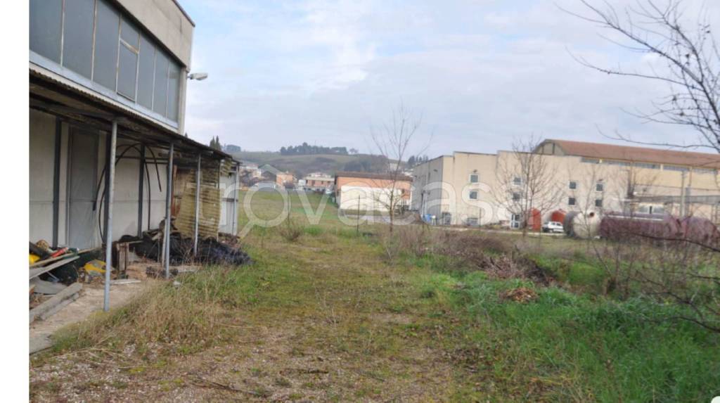 immagine annuncio 10 di 12