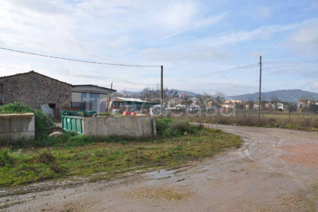 immagine annuncio 11 di 12