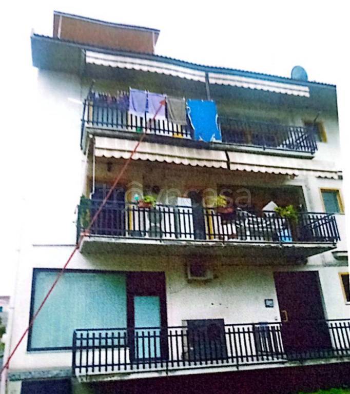 immagine annuncio 4 di 14