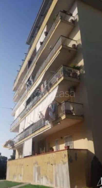 immagine annuncio 9 di 11