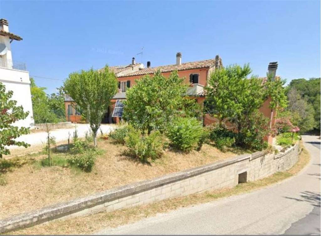 immagine annuncio 9 di 11