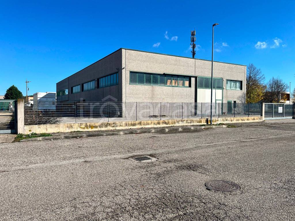 immagine annuncio 2 di 5