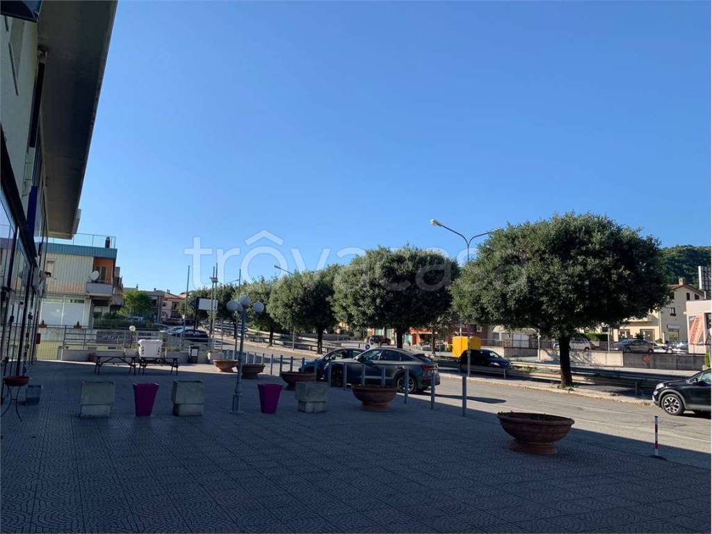 immagine annuncio 12 di 13