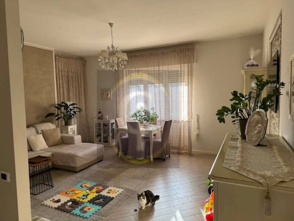 immagine annuncio 1 di 14