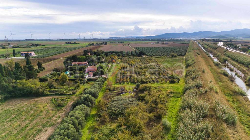 immagine annuncio 3 di 6