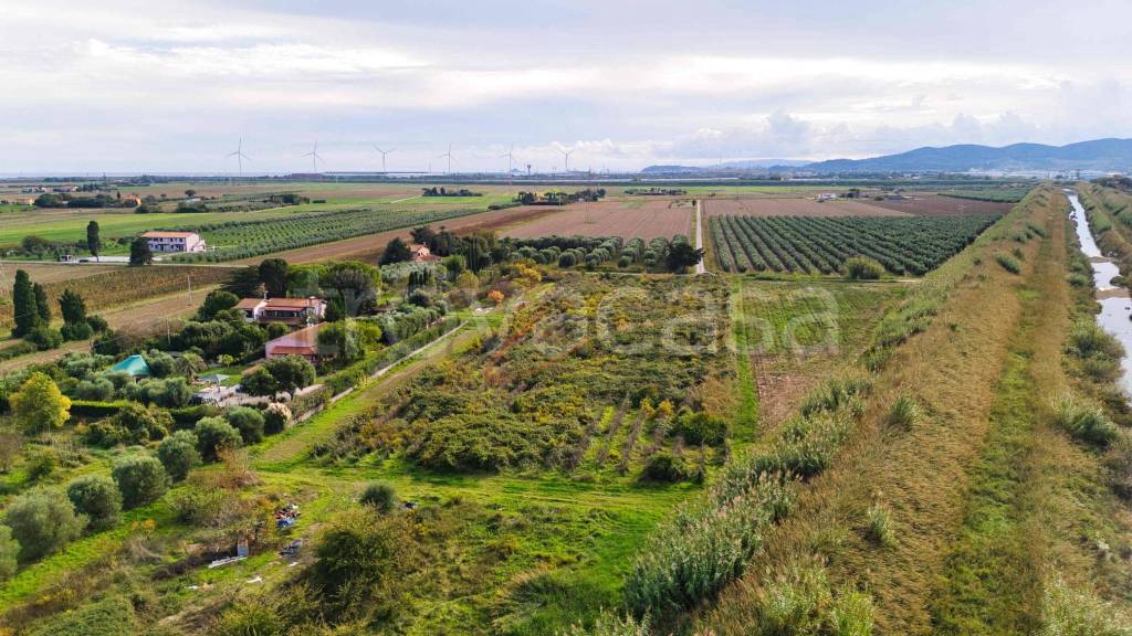 immagine annuncio 4 di 6