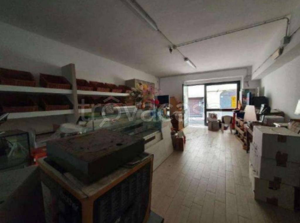 immagine annuncio 5 di 11