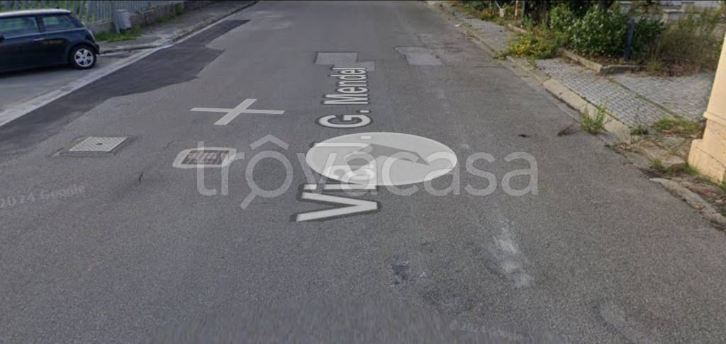 immagine annuncio 7 di 13