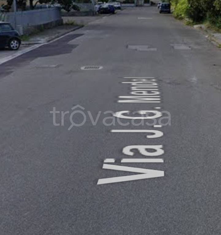 immagine annuncio 4 di 10