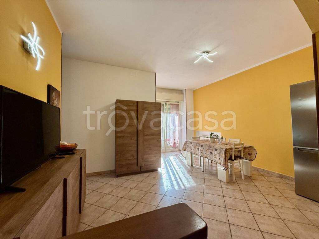 immagine annuncio 1 di 14