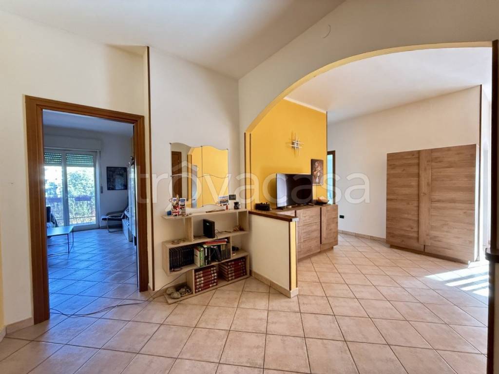 immagine annuncio 2 di 14