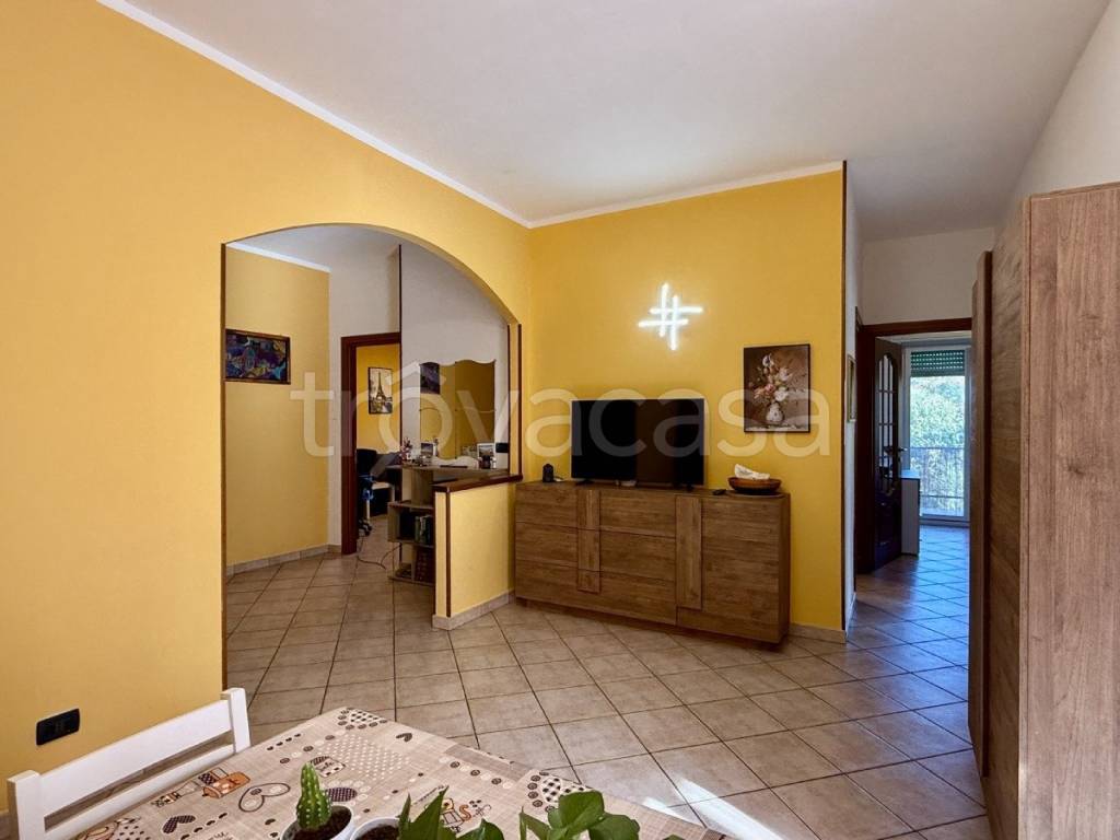 immagine annuncio 3 di 14