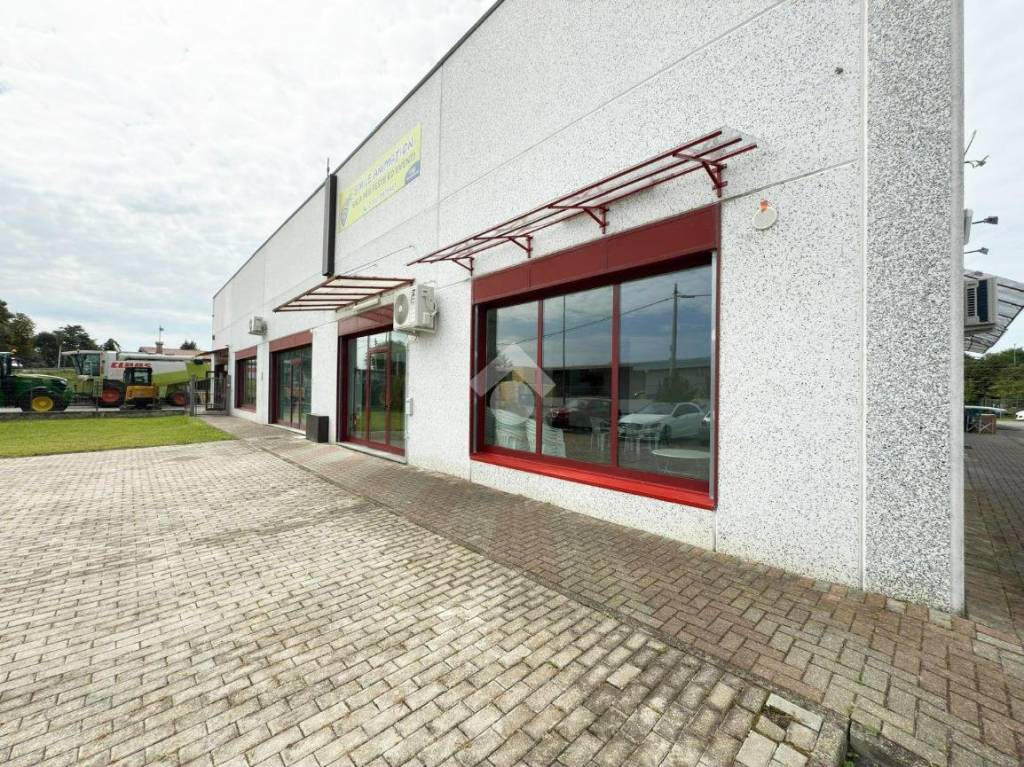 immagine annuncio 9 di 15