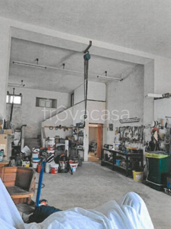 immagine annuncio 1 di 11