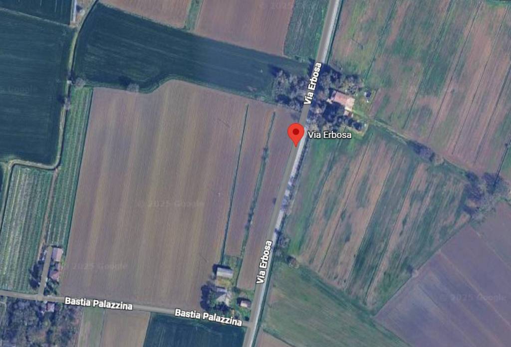 immagine annuncio 4 di 11