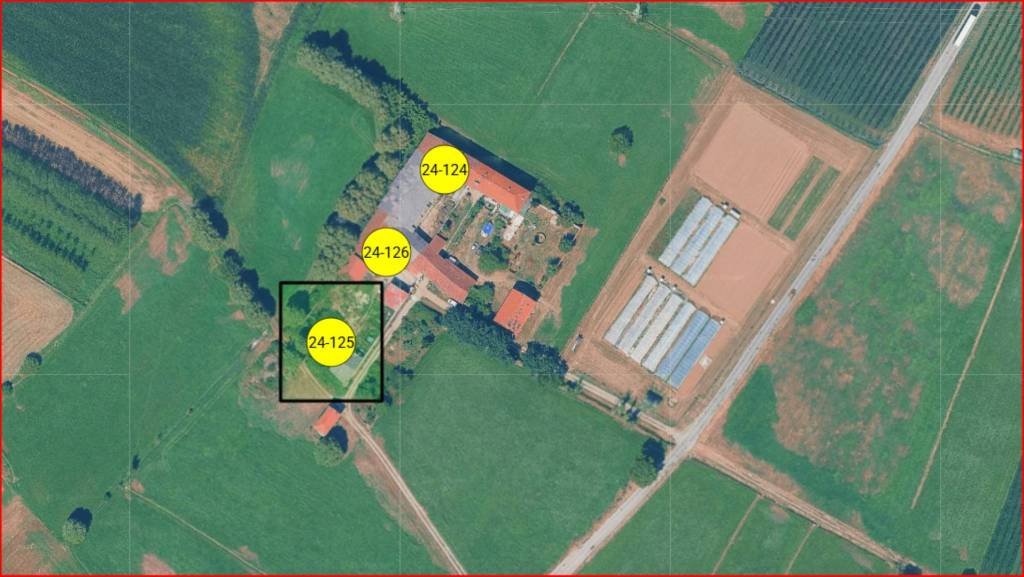 immagine annuncio 13 di 14