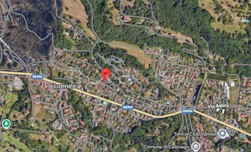 immagine annuncio 1 di 14