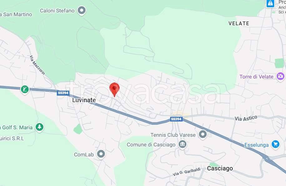 immagine annuncio 3 di 14