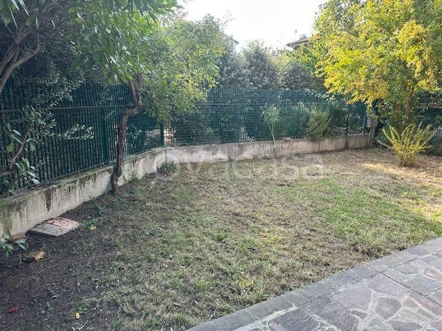 immagine annuncio 12 di 14