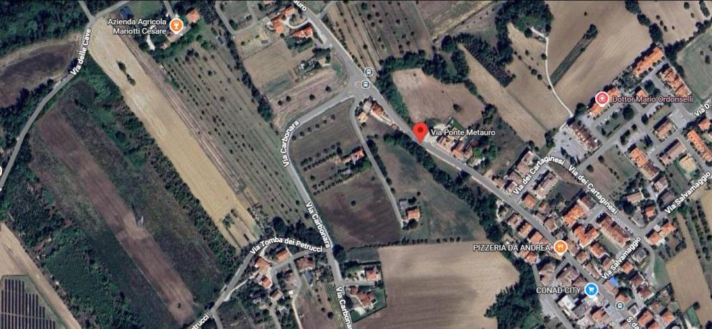 immagine annuncio 12 di 13