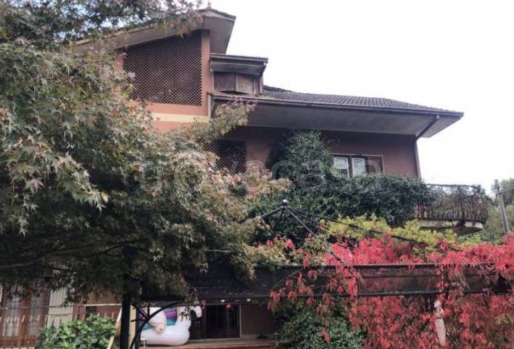 immagine annuncio 5 di 11