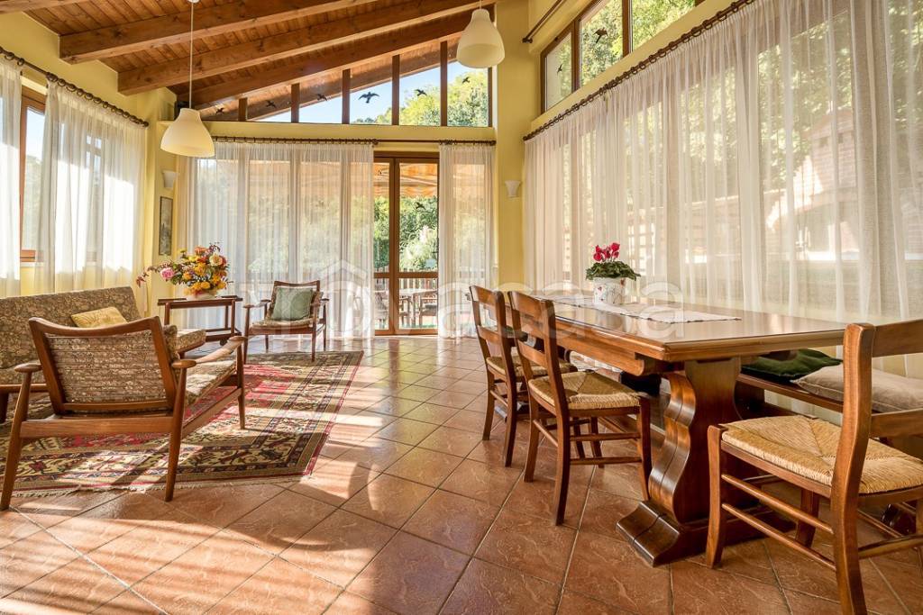 immagine annuncio 10 di 14