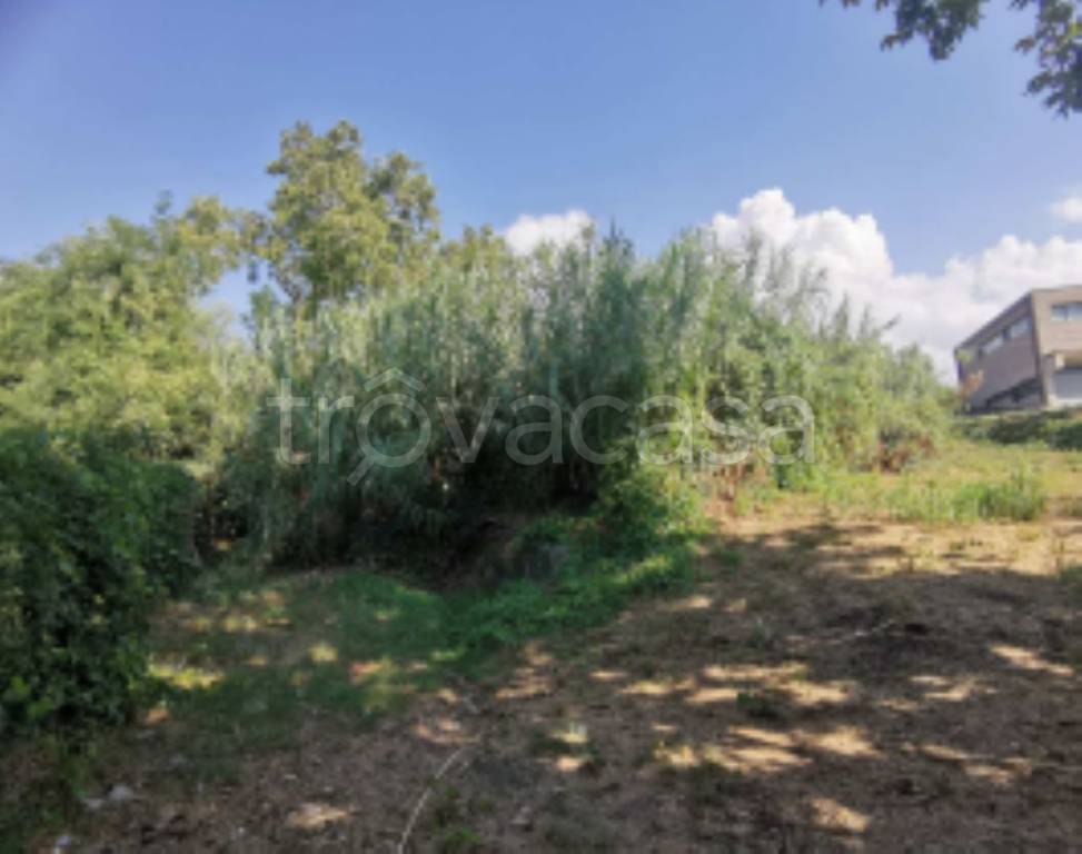 immagine annuncio 2 di 9