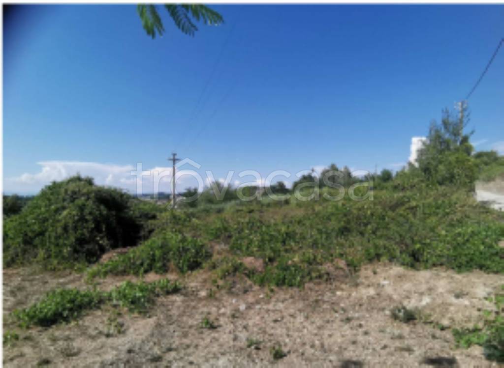 immagine annuncio 5 di 9