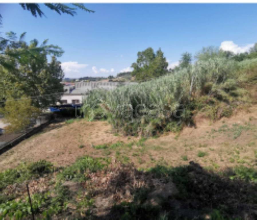 immagine annuncio 6 di 9