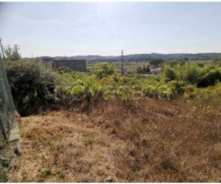 immagine annuncio 7 di 9