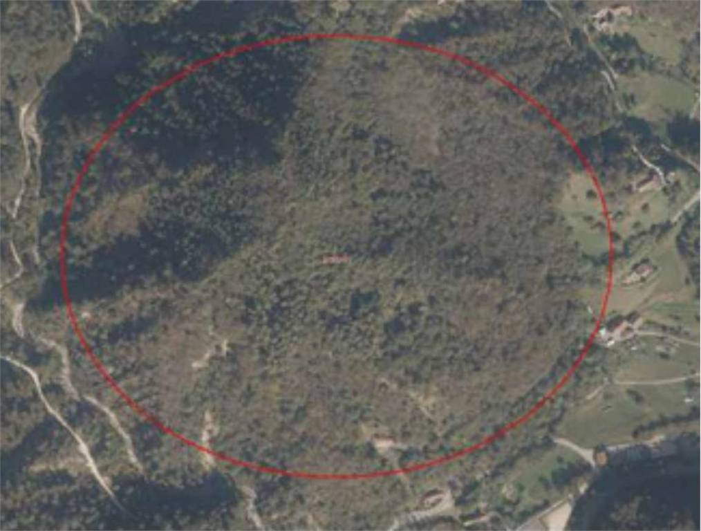 immagine annuncio 2 di 12