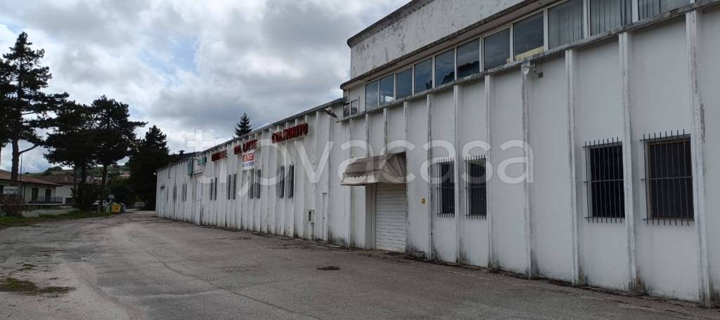 immagine annuncio 2 di 8