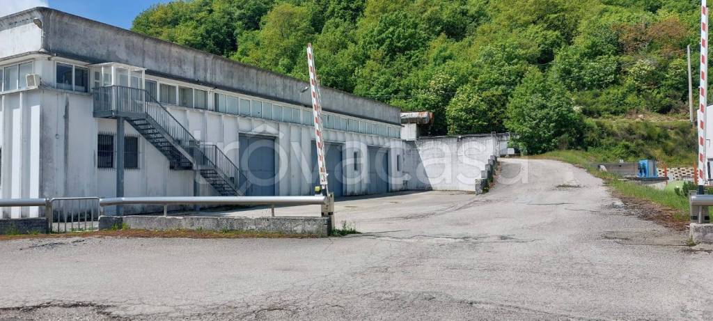 immagine annuncio 3 di 8