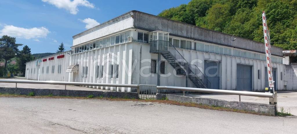 immagine annuncio 4 di 8